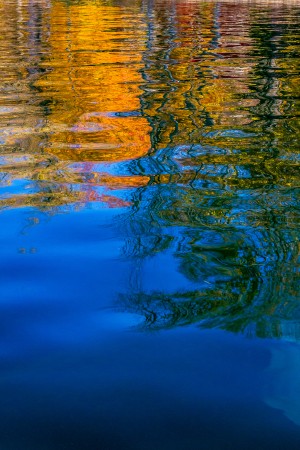 Gaias Reflection Left